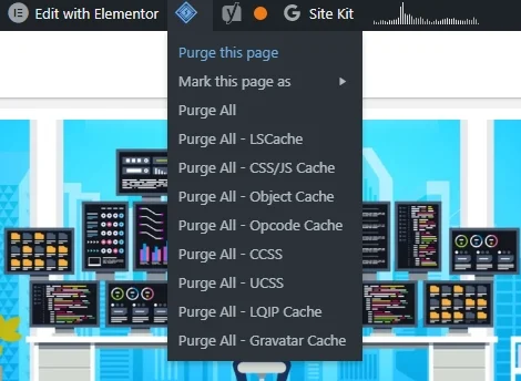 purgelitespeedcache Plugin LiteSpeed Cache Jadikan WordPress Anda Slow?