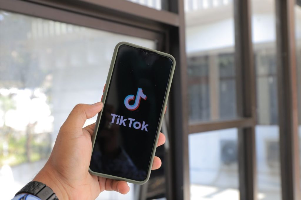 tiktok video downloader
